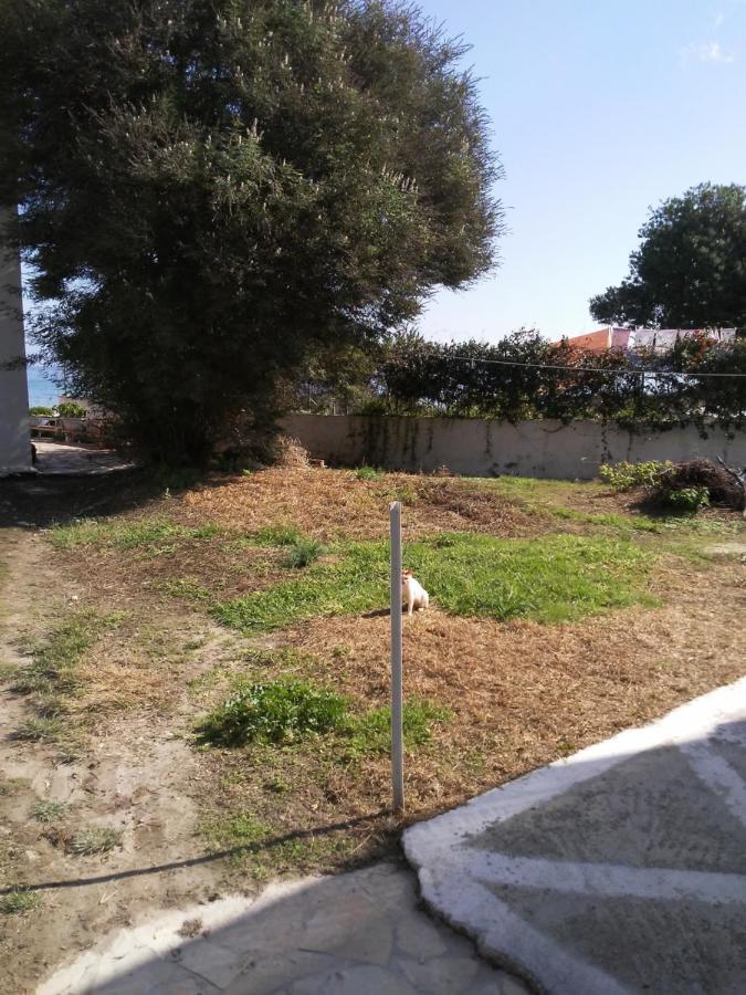 Dimitris Apartments Messongi Месонґі Екстер'єр фото